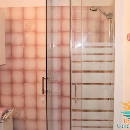 Carqueiranne, Proche Plages, Commerces, Parking, Clim Apartmán *